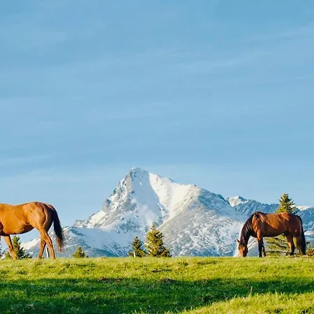 Sefec Holiday home *