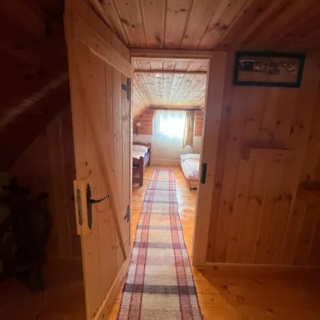 Sefec * Выходна