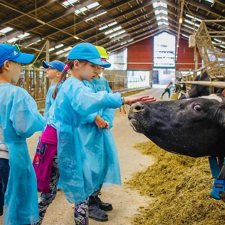 Sefec Выходна