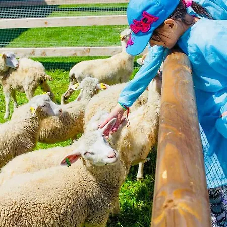 Sefec Holiday home Vychodna