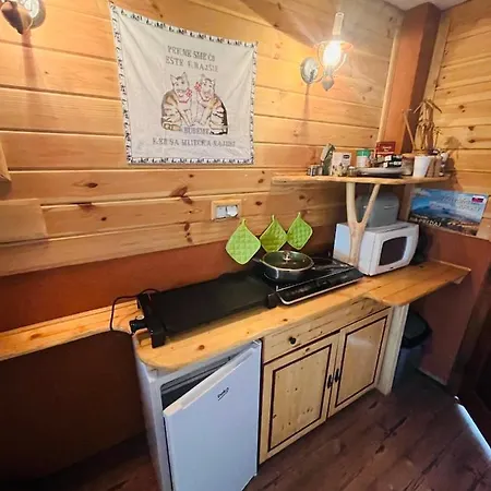 Sefec * Выходна